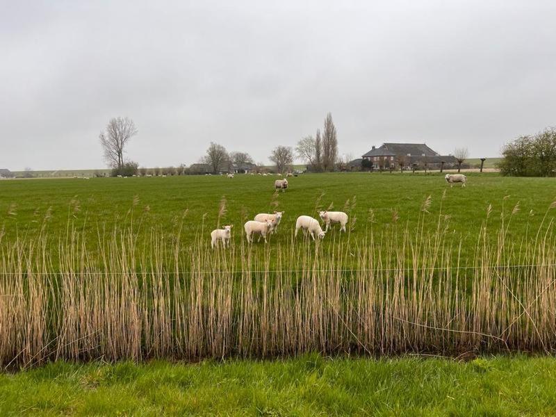 B&B Oldenbosch Holwierde 외부 사진