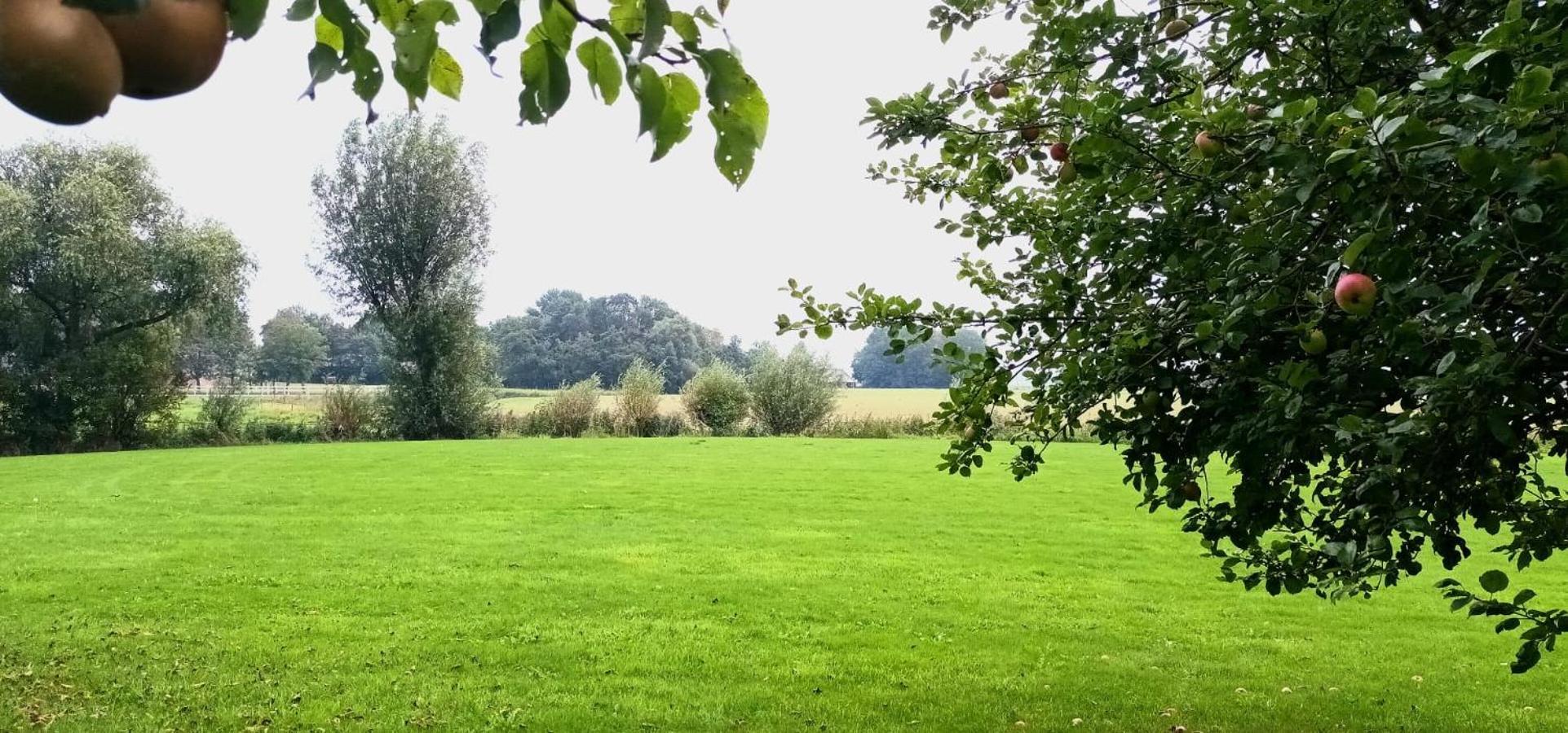 B&B Oldenbosch Holwierde 외부 사진
